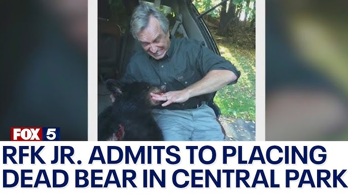 The Media Response: 2024 and Public Awareness - visual representation