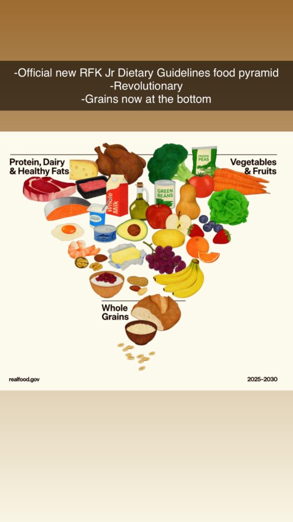 The Role of Subsidies: Why Beef Seems Cheaper Than It Actually Is - visual representation