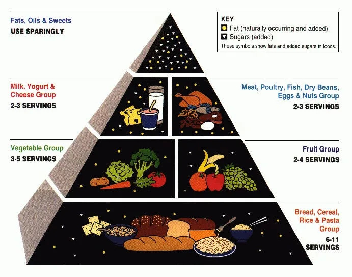 The Question of Personal Responsibility vs. Systemic Change - visual representation