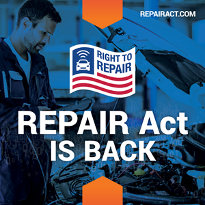 The Hearing: When Advocates Met Opposition Face-to-Face - visual representation