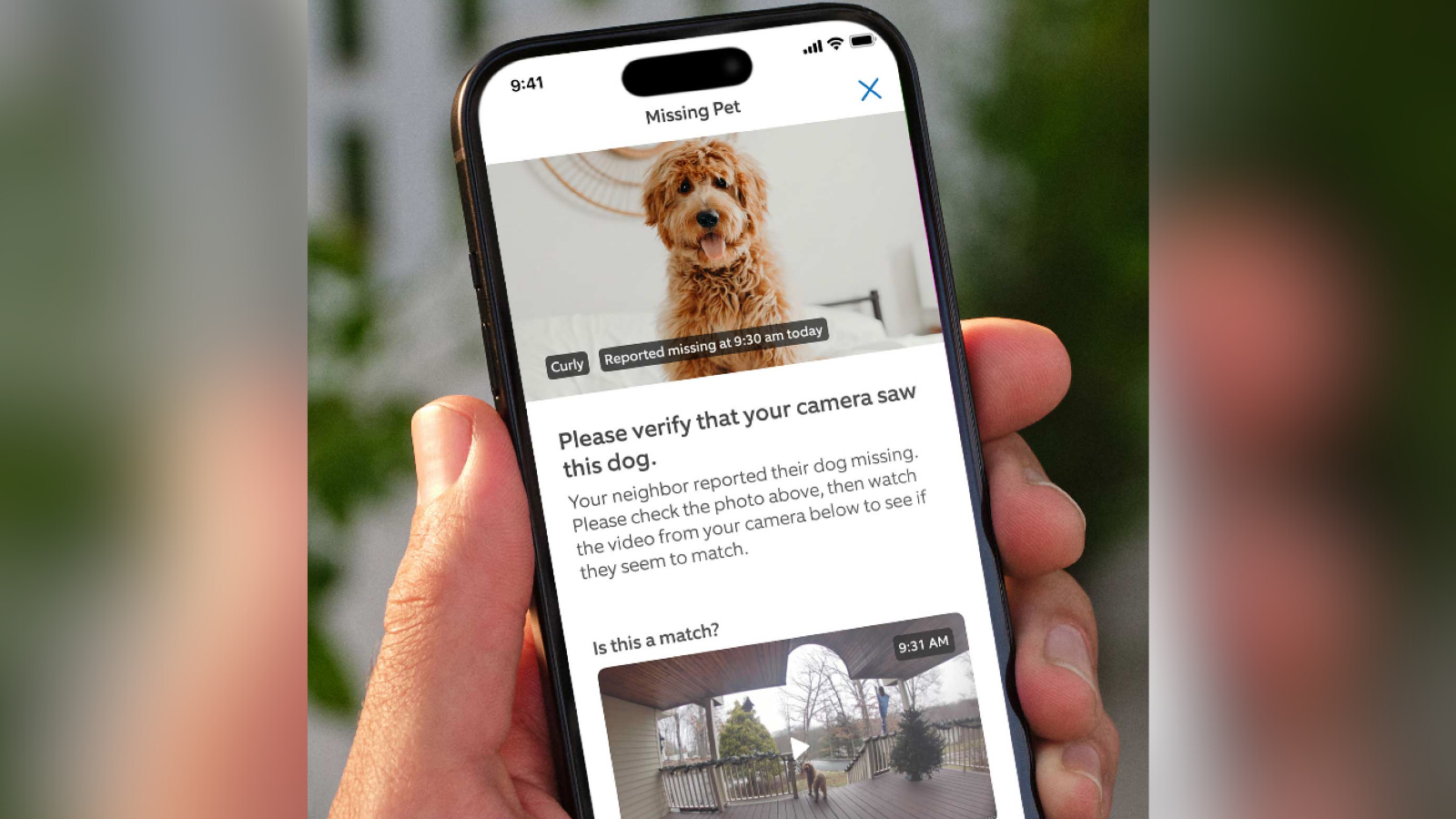 Using Video Doorbells to Find Lost Pets - contextual illustration