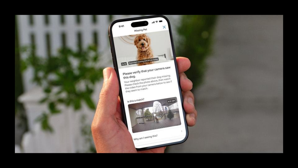 Why "Zeroing Out Crime" Is a Dangerous Goal - visual representation