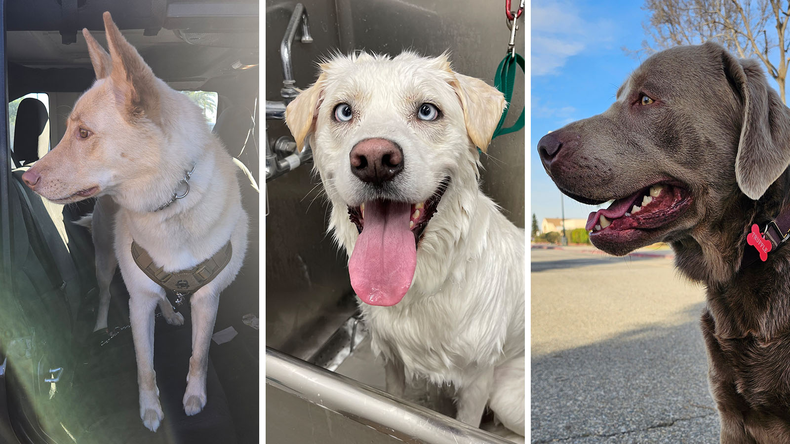 The Surveillance Question We Need to Answer - visual representation