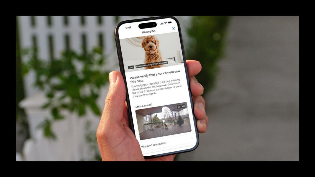 Why Search Party Changes Everything - contextual illustration