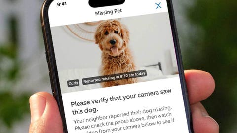 How to Report a Lost Dog and Access Search Party - contextual illustration