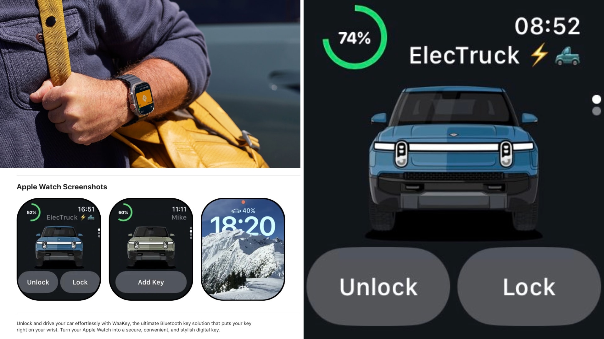 The Broader Ecosystem Context - visual representation