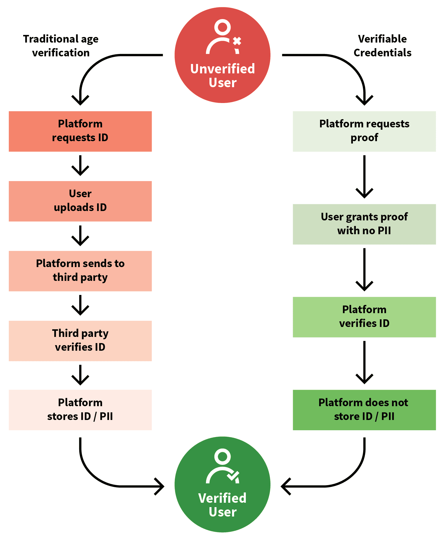 How the Age Verification System Actually Works - contextual illustration