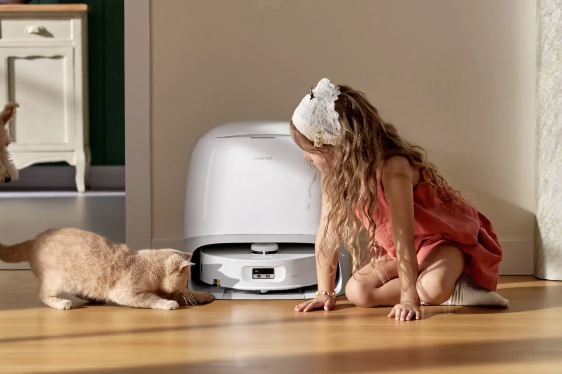 The Decision Framework: Should You Buy the Qrevo Curv 2 Flow? - visual representation