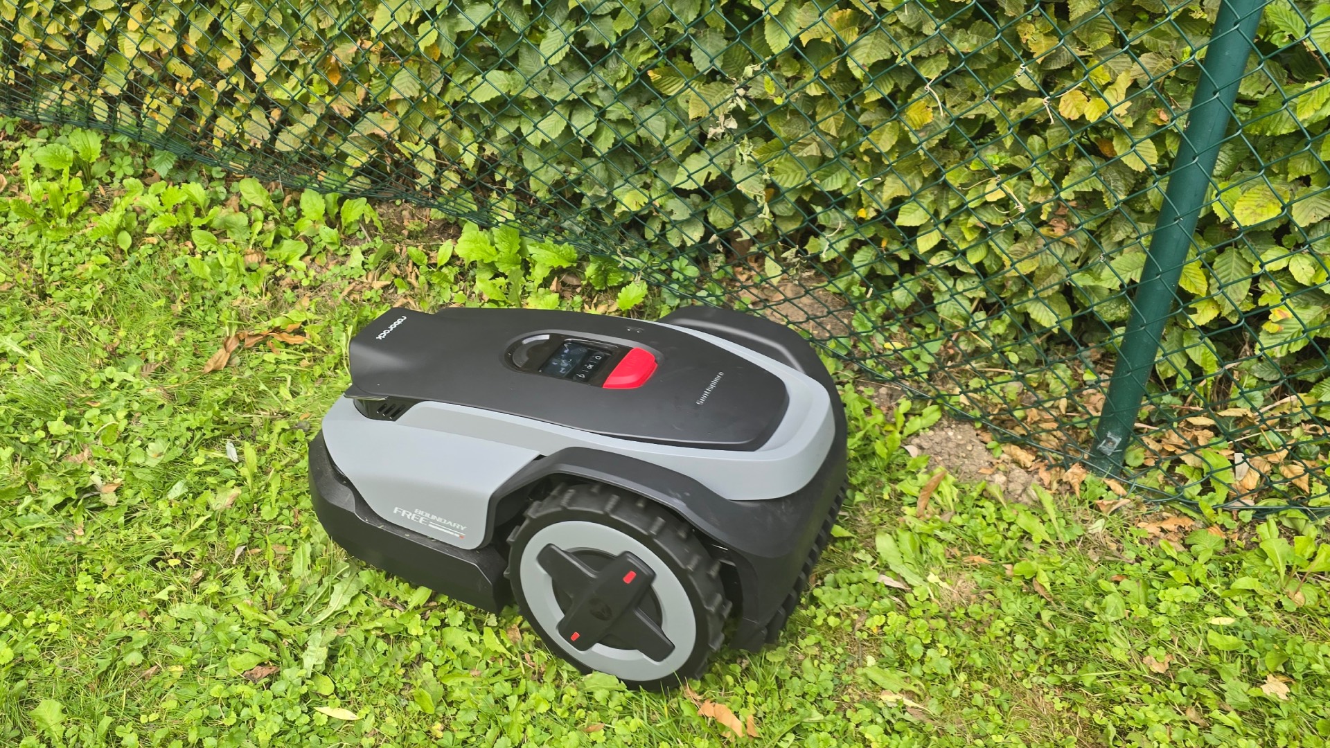 Sustainability and Environmental Considerations - visual representation