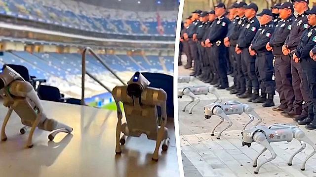 FAQ - visual representation