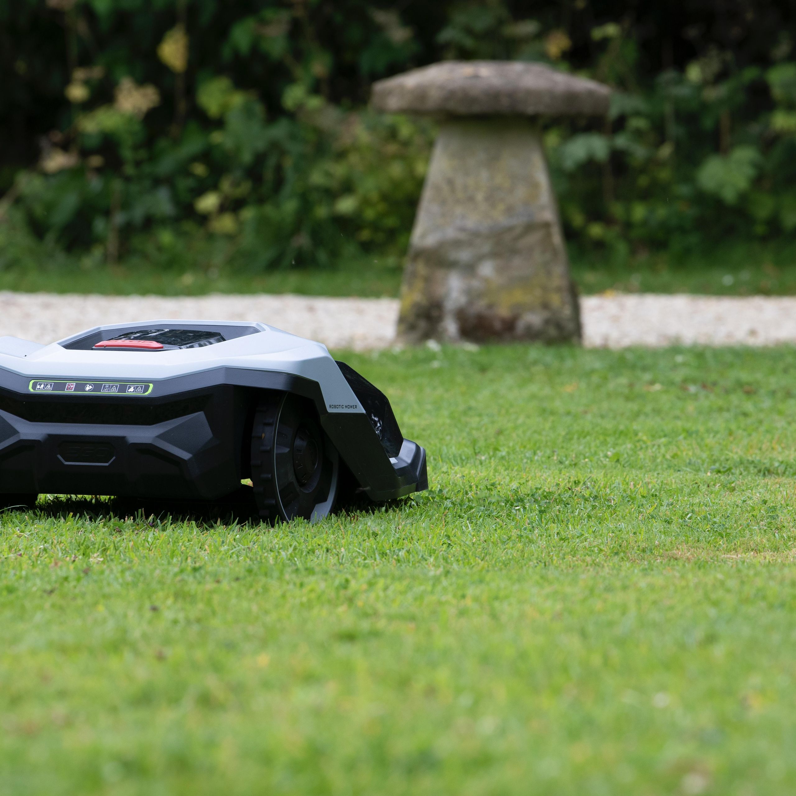 The Environmental Angle: Sustainability and Emissions - visual representation