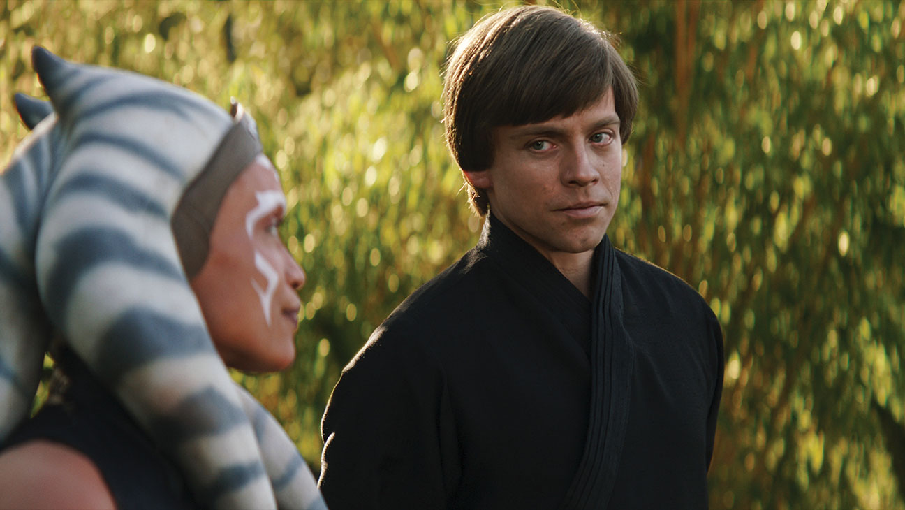 What Stronger Protections Would Look Like - visual representation