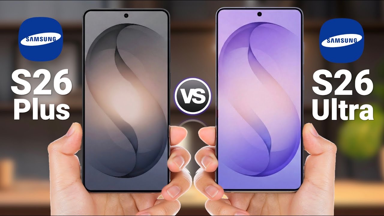 Display: A Feast for the Eyes - visual representation