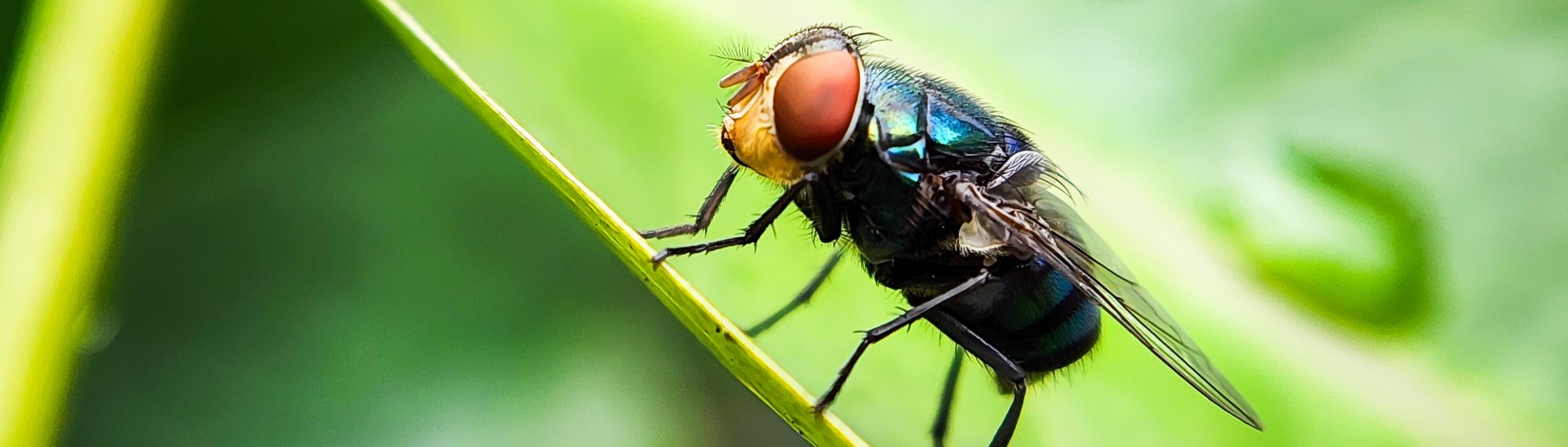 Prevention: What Can Actually Reduce Risk - visual representation