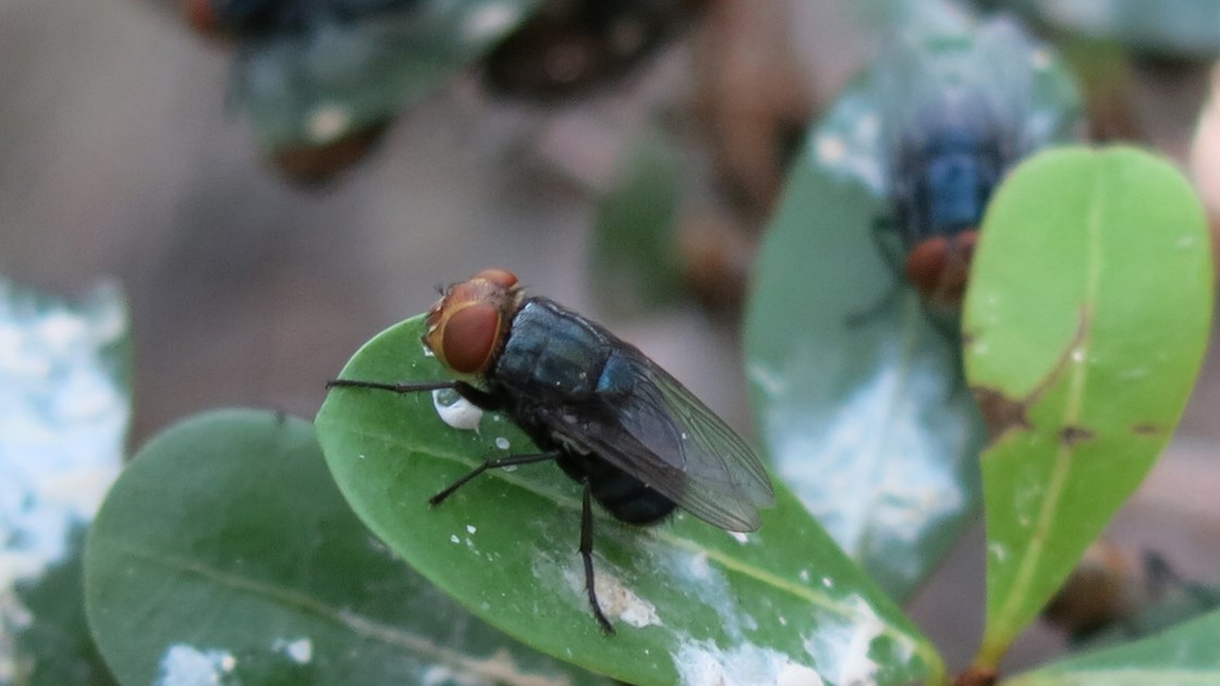 Conclusion: Vigilance as Public Health Strategy - visual representation