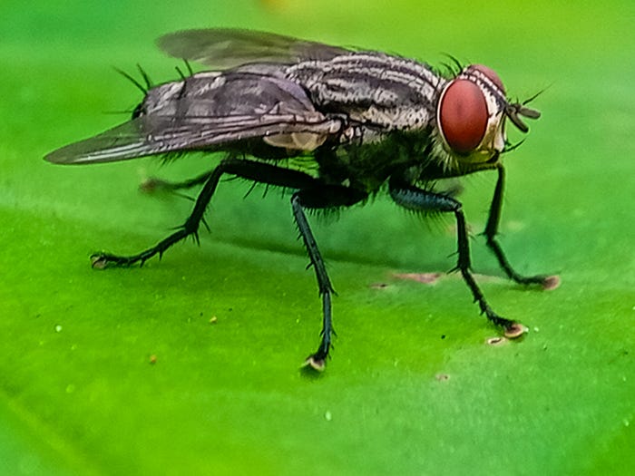 Current Situation: The Warning Signs We Can't Ignore - visual representation