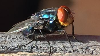 Treatment: What Actually Works - visual representation