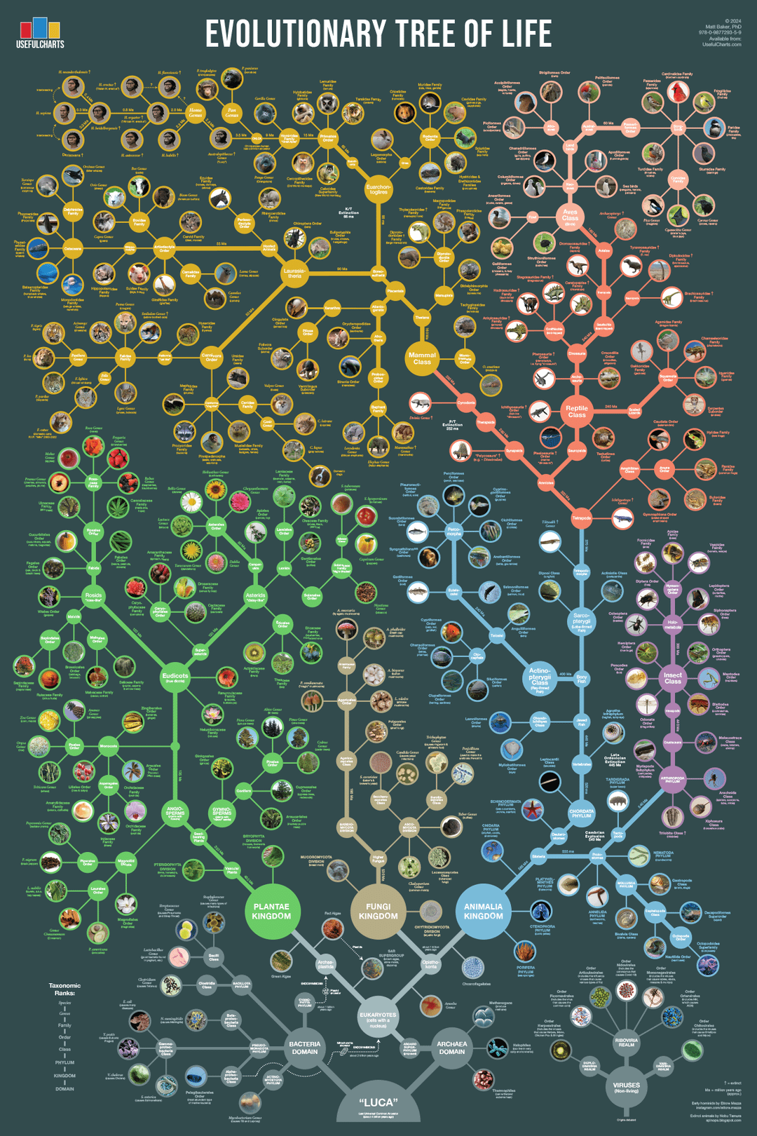 The Rise of Life Simulation Games - contextual illustration