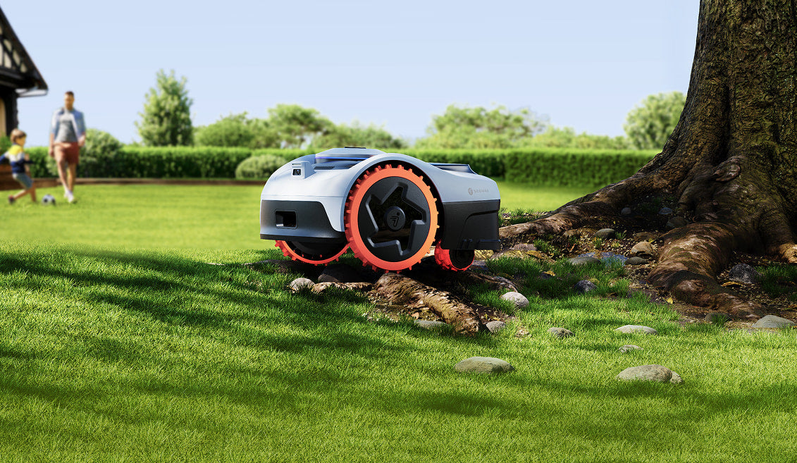 Warranty, Support, and Long-Term Reliability - visual representation