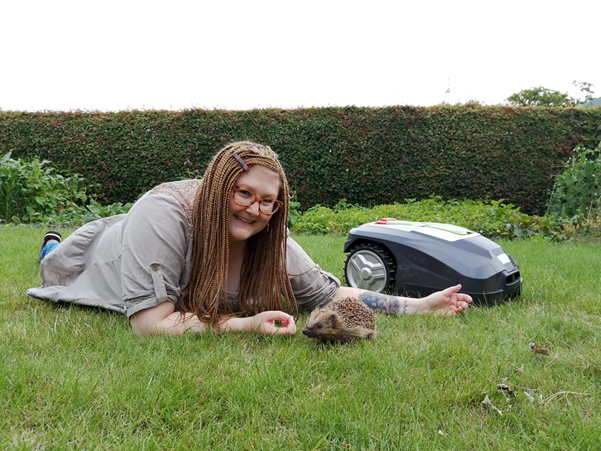 Lawn Damage Prevention: The Real-World Impact - visual representation