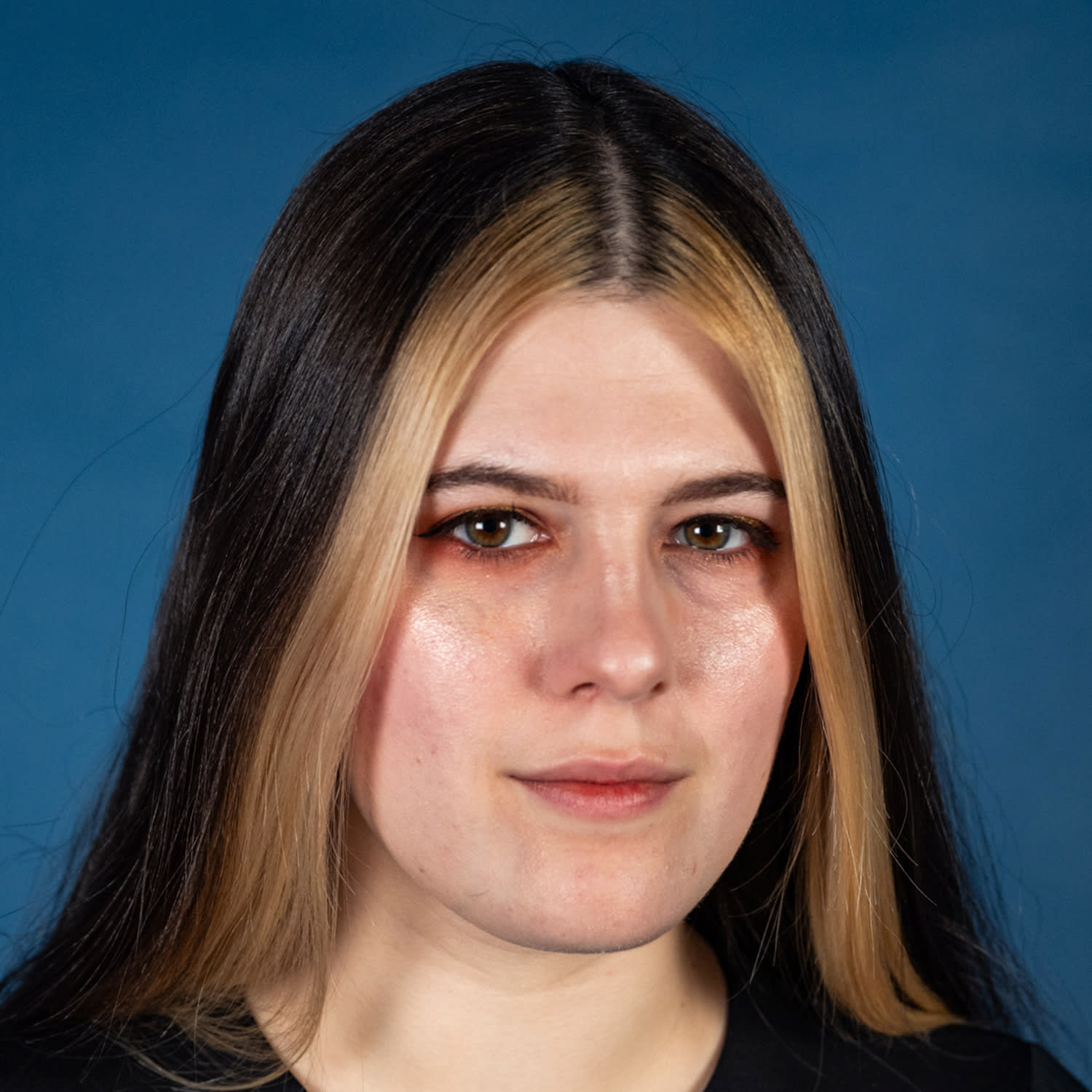 The Future of Platform Regulation and AI Accountability - visual representation