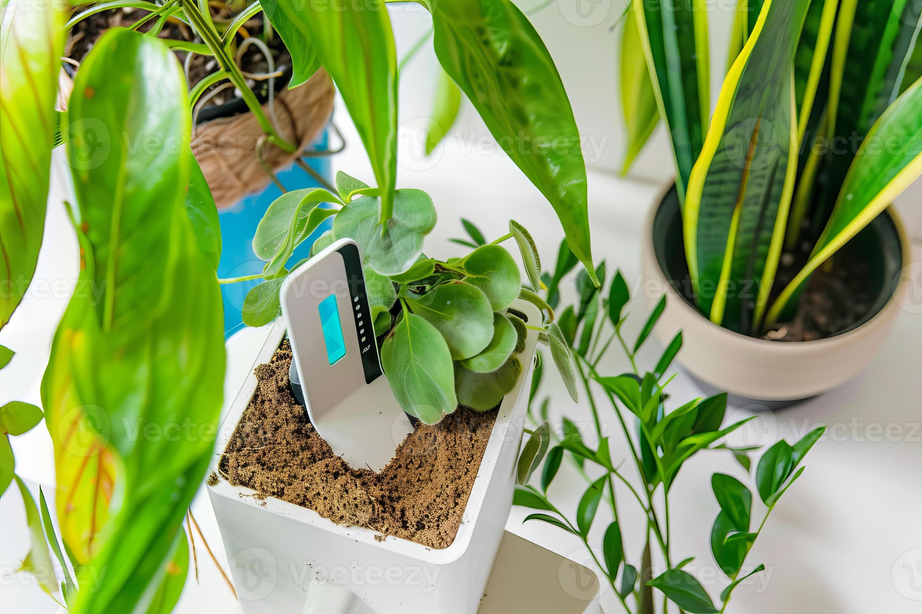 The Cost-Benefit Analysis: Is Senso Worth It? - visual representation