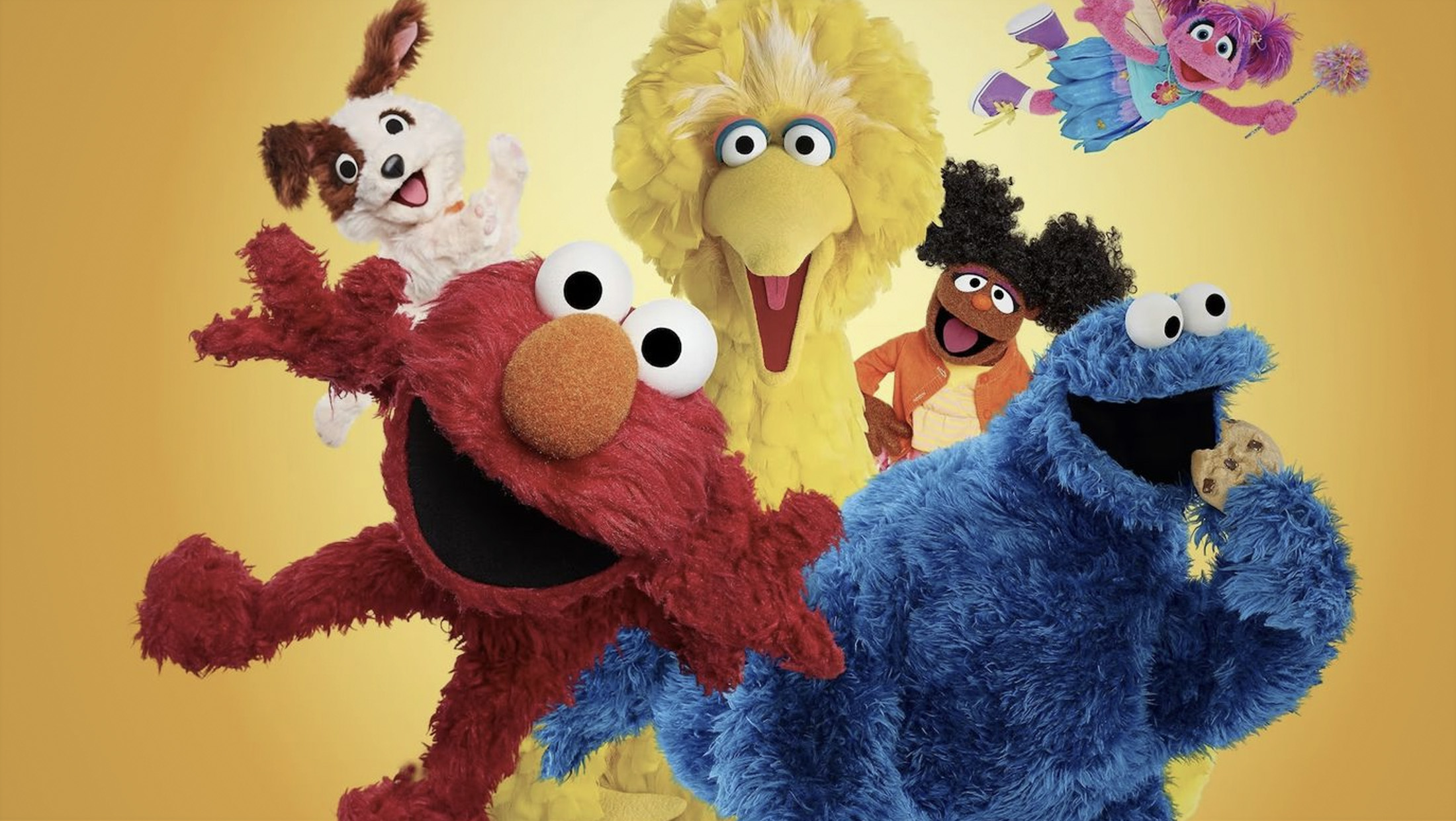 The Educational Framework Behind Classic Sesame Street - visual representation