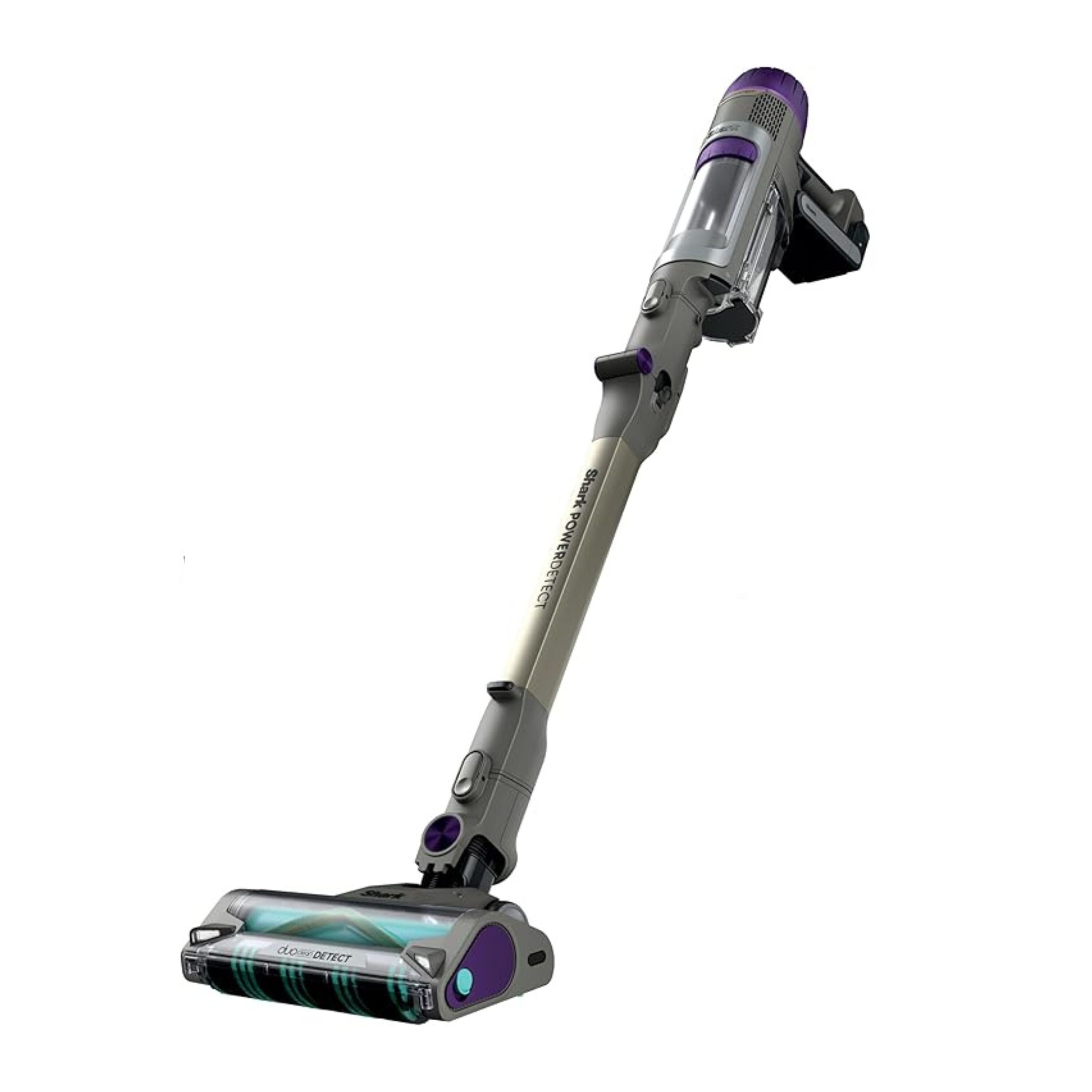 Where to Buy and What to Look For - visual representation