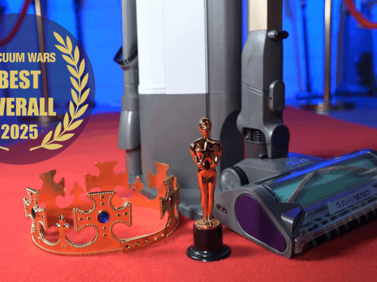 The Verdict: Should You Buy It? - visual representation