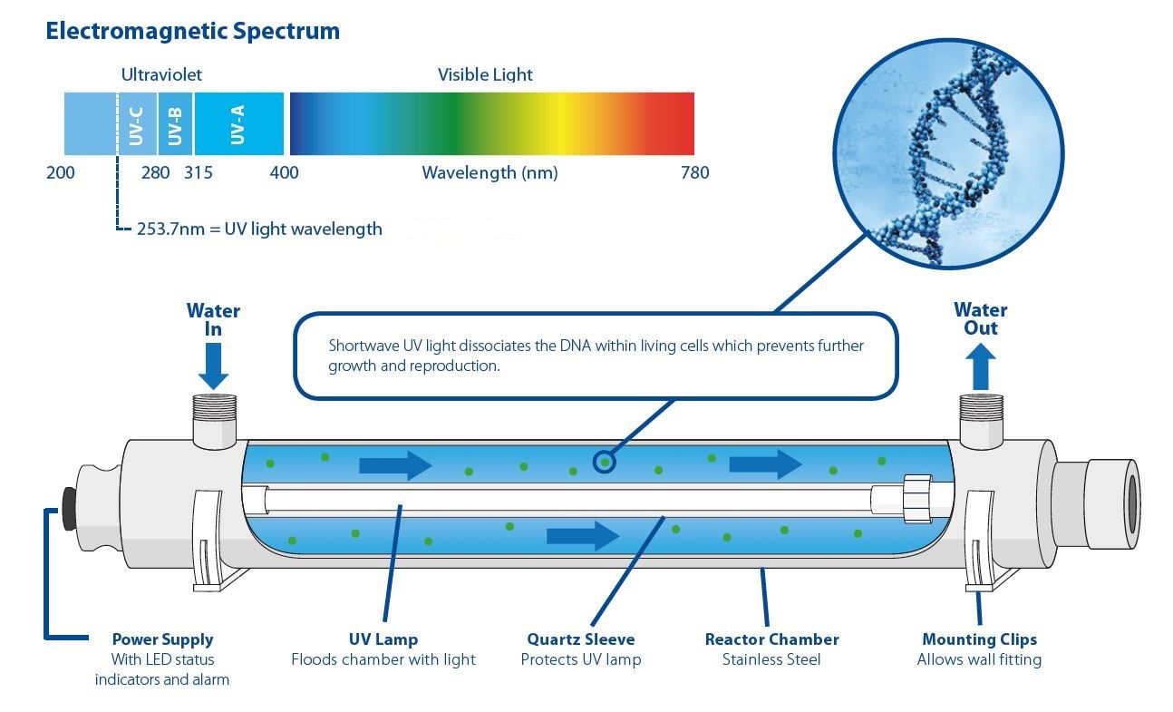 The Technology Behind Shark UV Reveal - contextual illustration