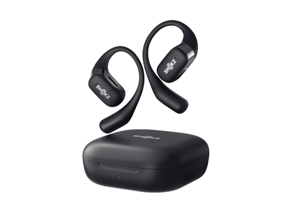 Who Should Buy These Earbuds - visual representation