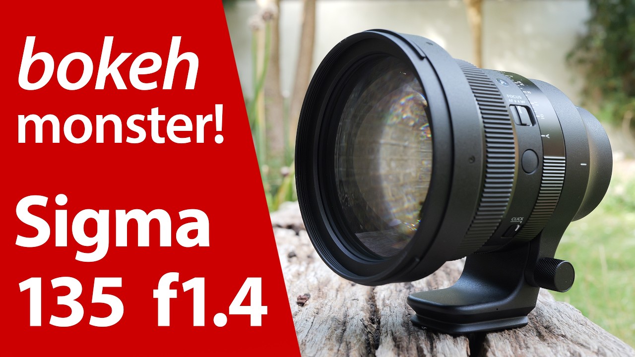 The Verdict and Recommendation - visual representation