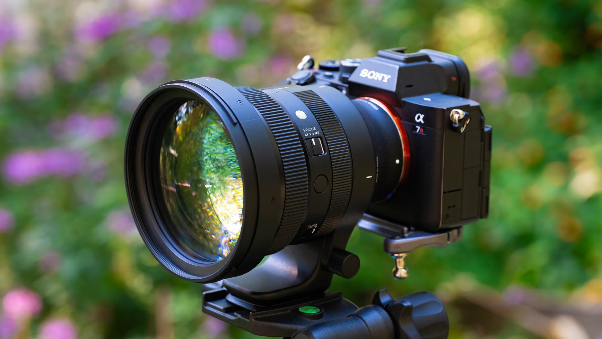 Practical Use in Portrait Sessions: Real-World Testing - visual representation