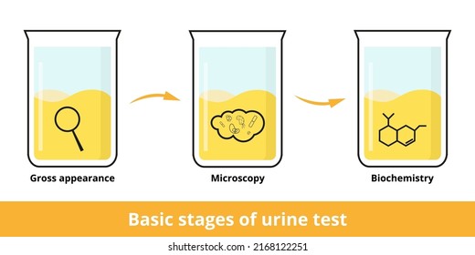 How Optical Sensing Works: The Technology Behind the Data - visual representation