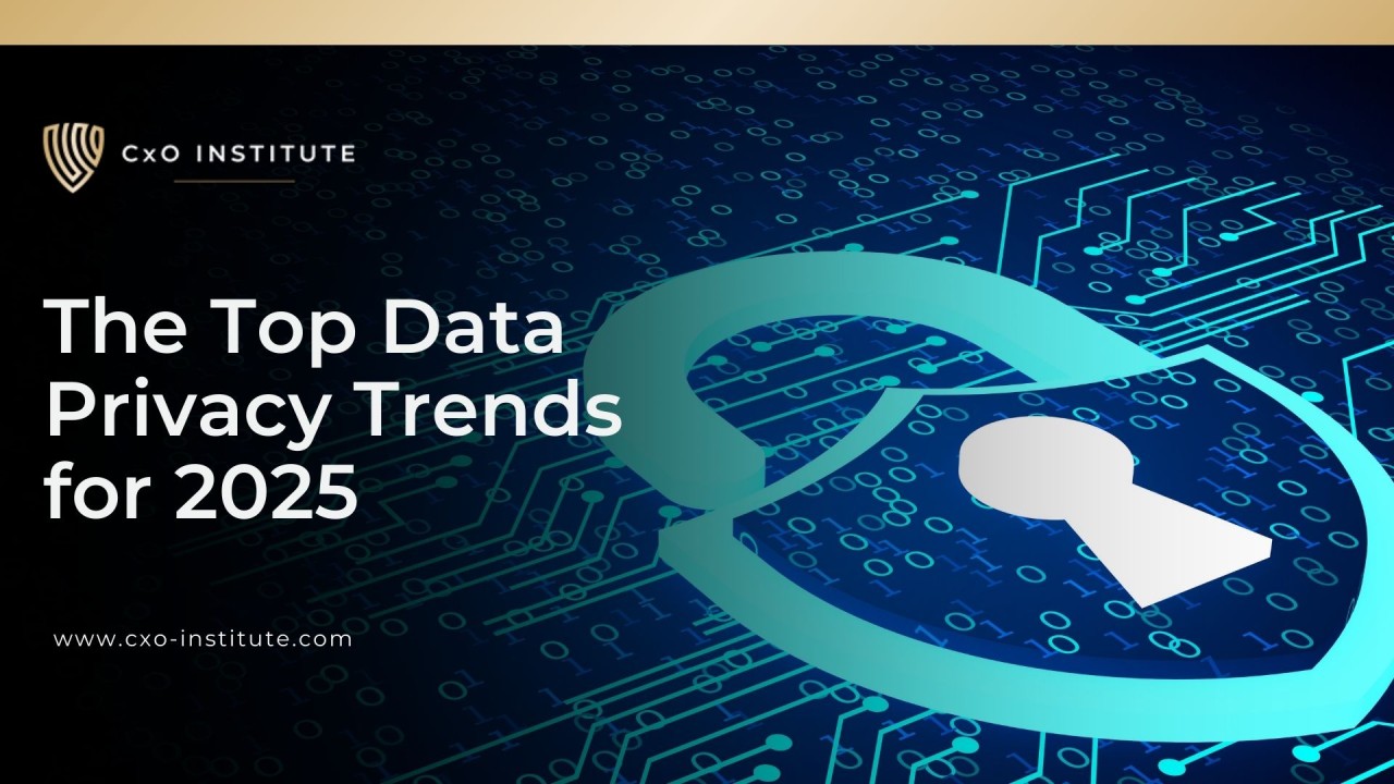 Regular Privacy Audits: Staying Vigilant - visual representation