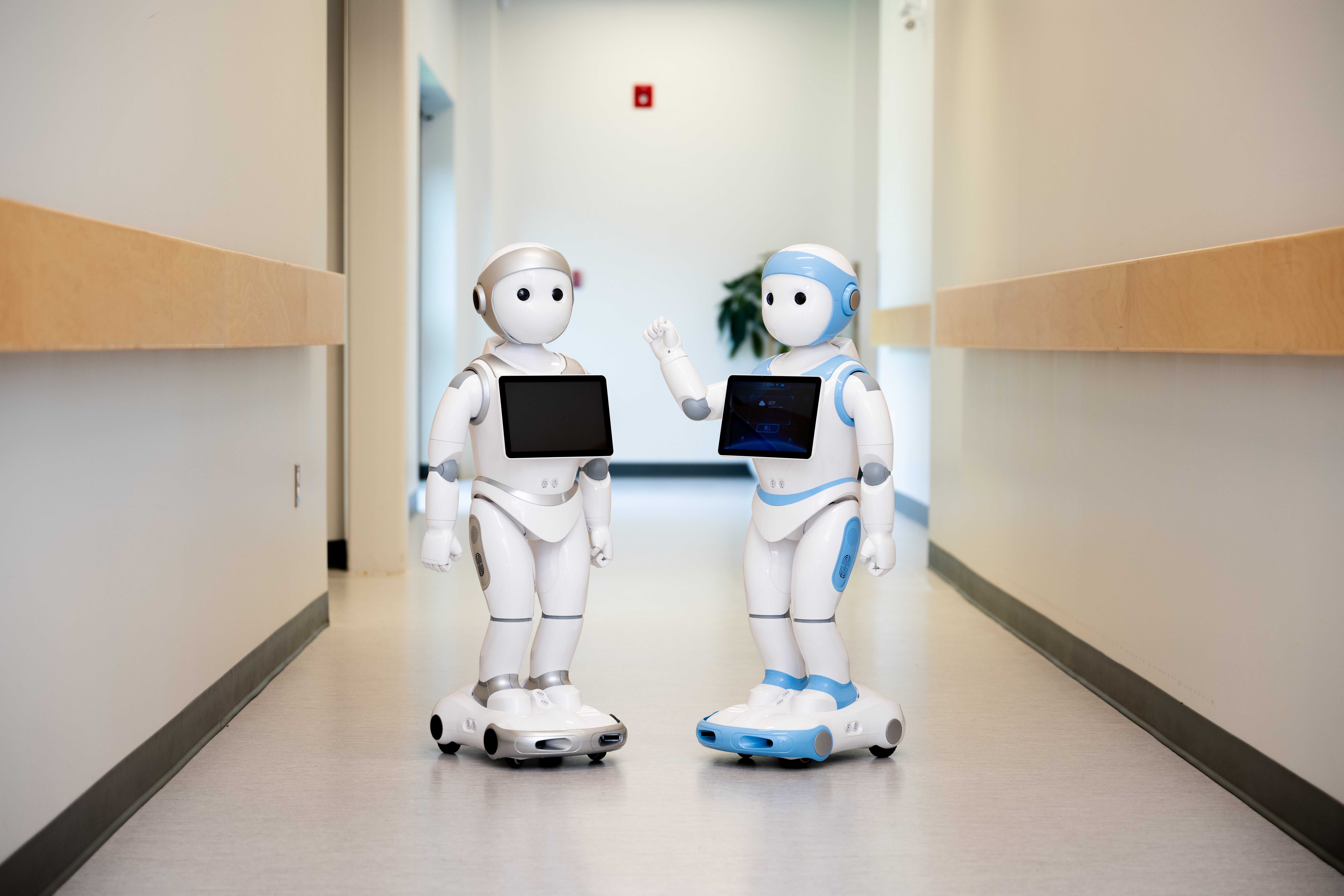 Comparing Mirumi to Other Companion Tech - visual representation