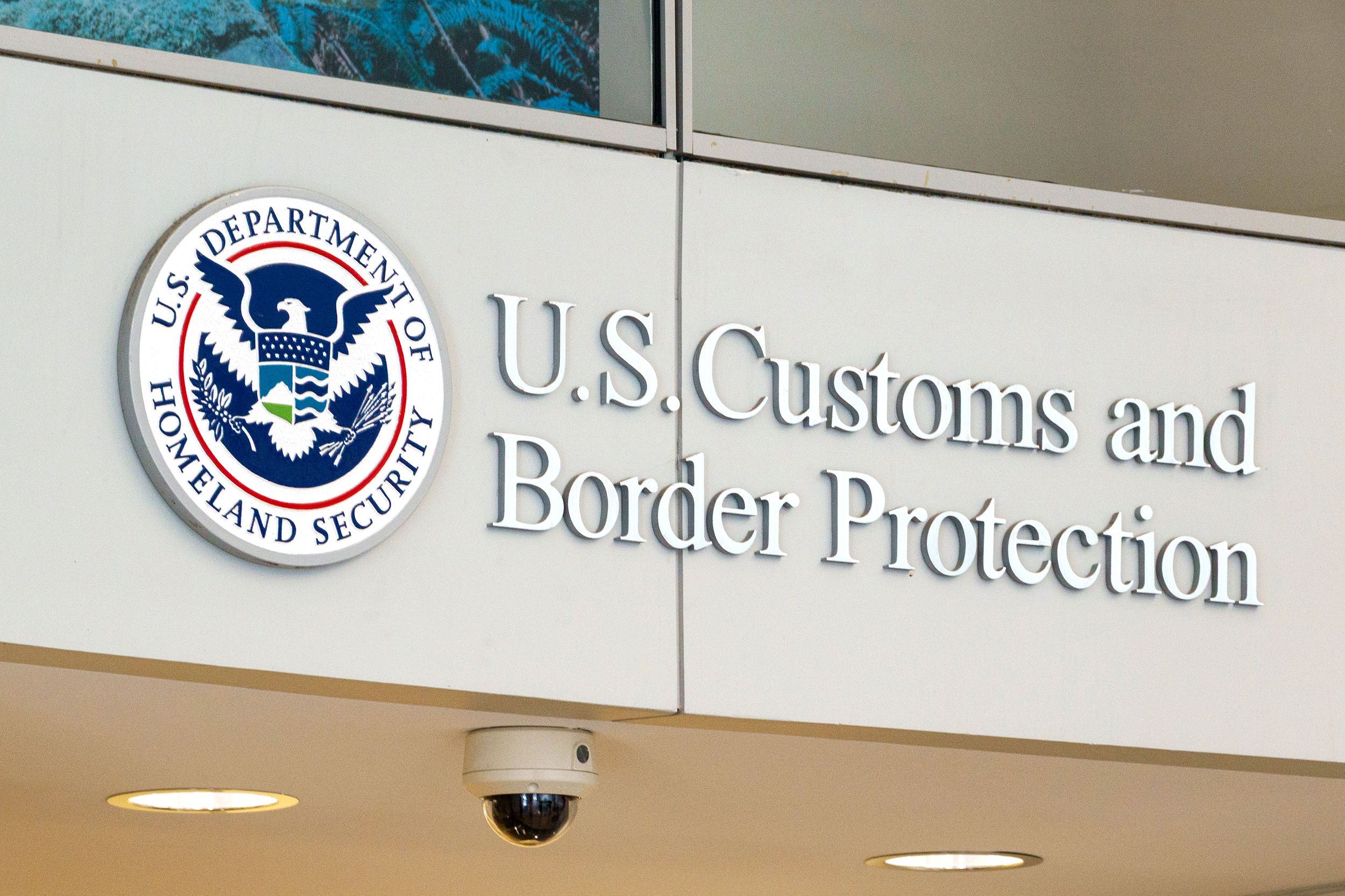 The Department of Government Efficiency Connection - visual representation