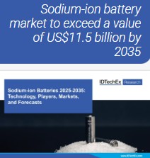 Government Support and Global Strategy - visual representation