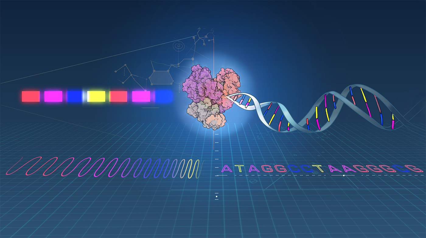 TL; DR - visual representation