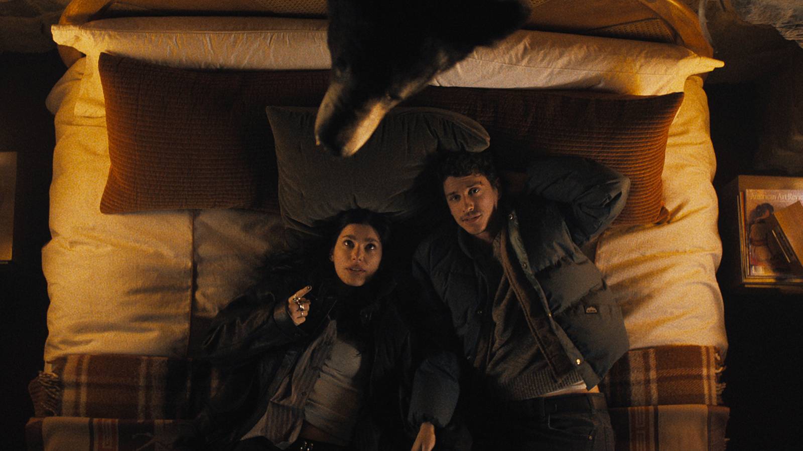 The Premise: A Wedding Day Nightmare - visual representation