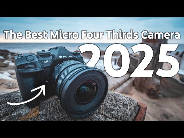 Pricing: The Difference Between Revival and Disruption - visual representation