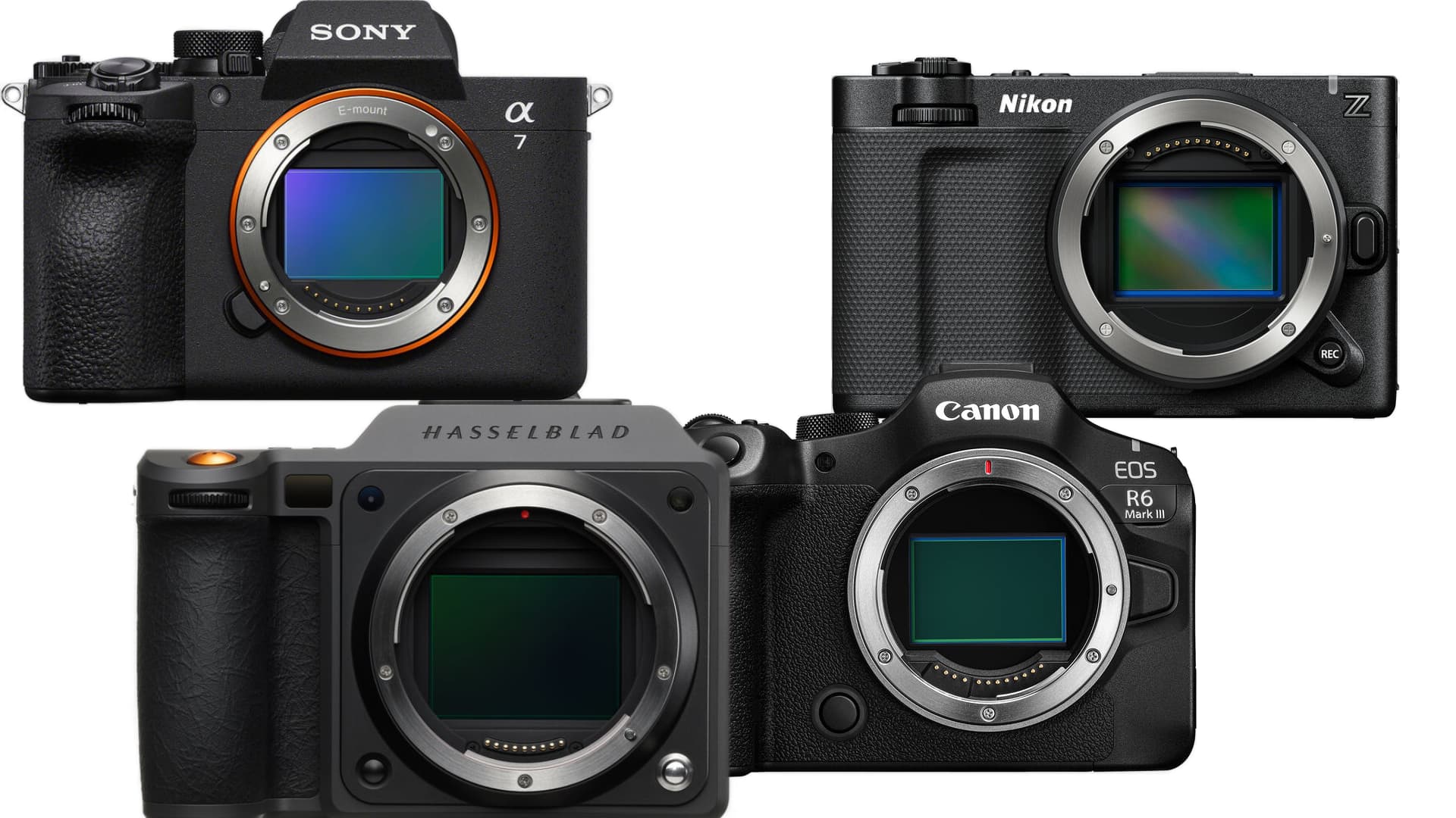 The Lens Ecosystem: Sony's Competitive Advantage Now - visual representation