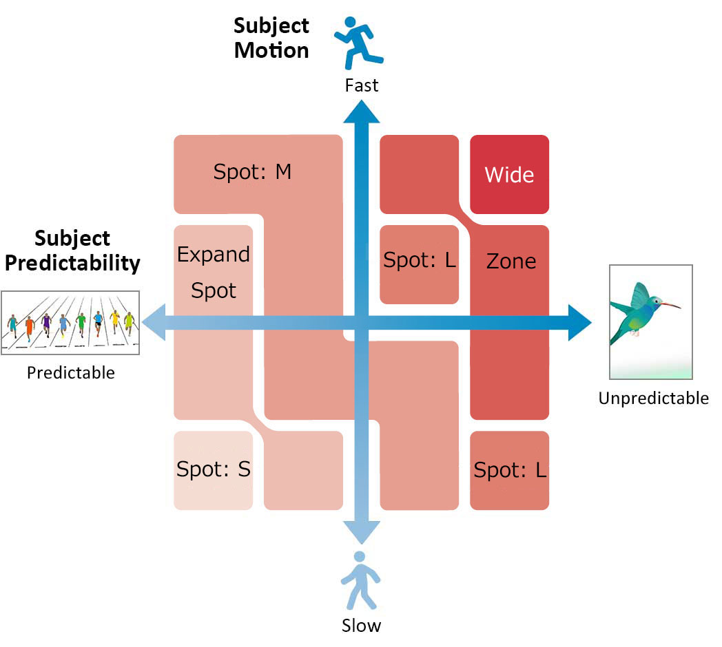 The Autofocus Revolution That Changed Everything - contextual illustration