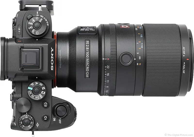 Specialized Applications and Use Cases - visual representation