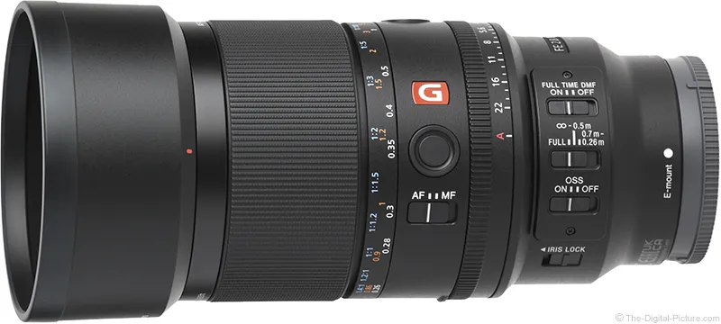 Final Verdict: Is the Sony FE 100mm f/2.8 Macro GM OSS Right for You? - visual representation