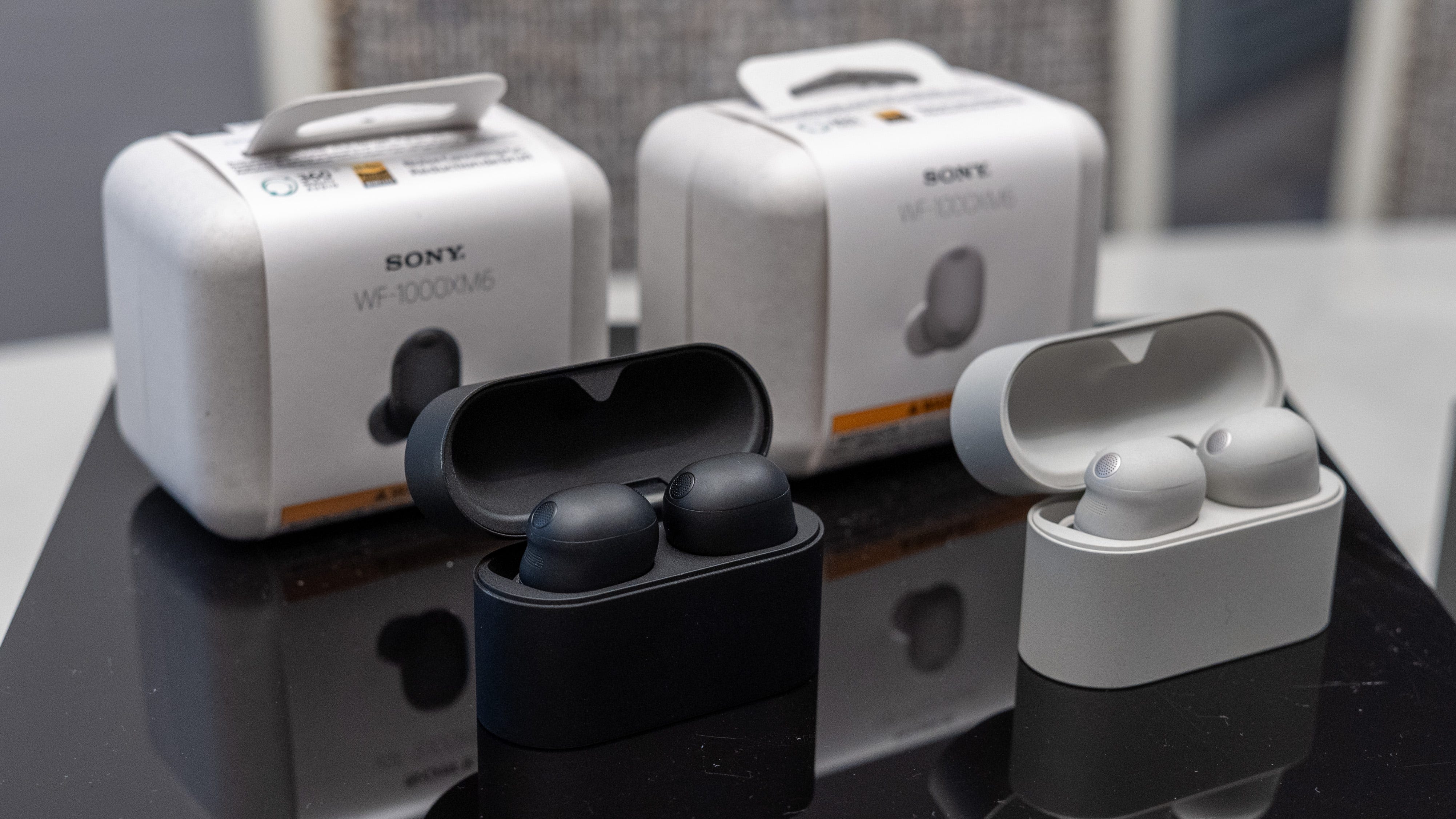 Conclusion: Making the Most of Your Investment - visual representation