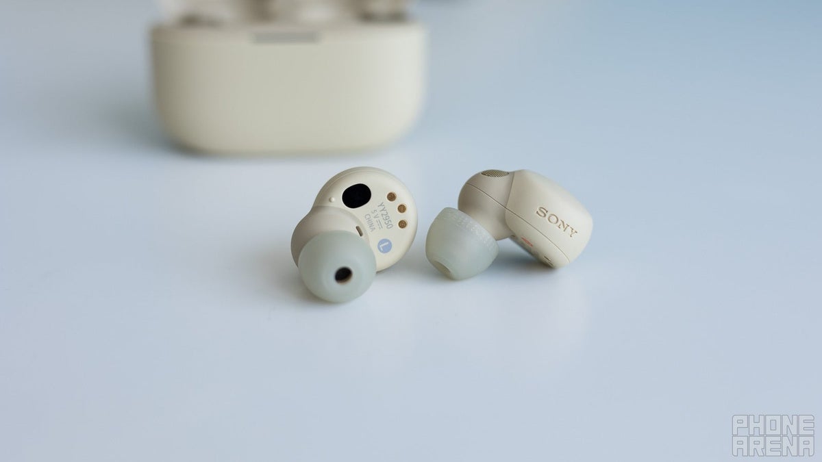 The February 12 Launch and Availability Timeline - visual representation