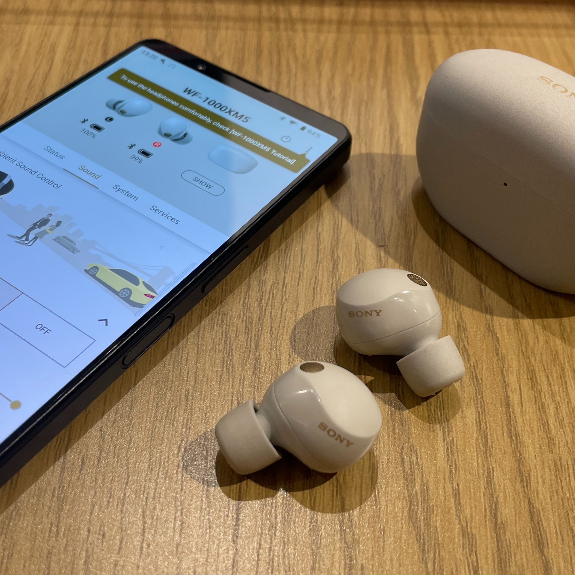 Companion App and User Experience - visual representation