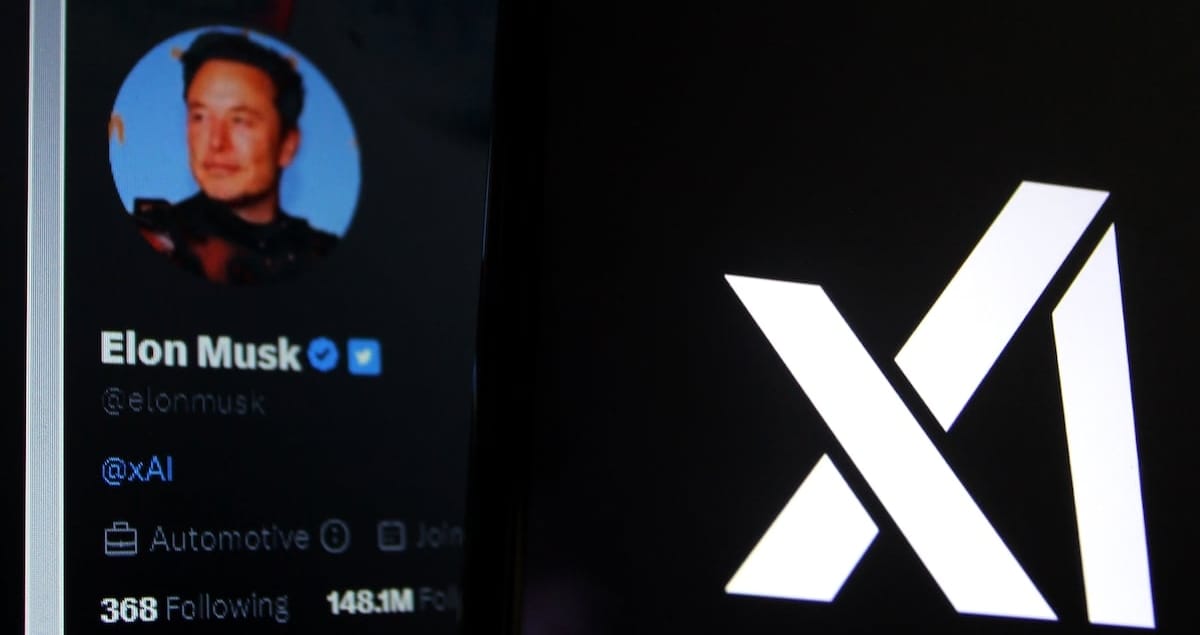 The Musk Factor: Betting on Execution Capability - visual representation