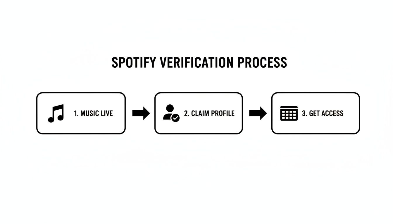 Spotify's Motivation for the Verification Badge - visual representation